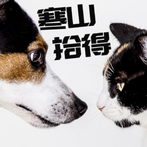 No.1 一位老师决定采访自己的学生