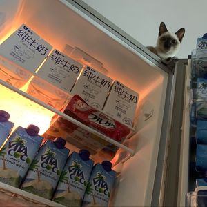 雪柜