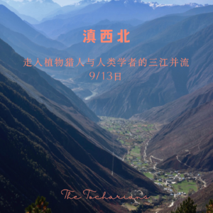 为什么做云南目的地?