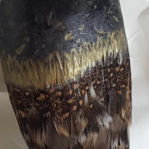 笑说东西008 | 高级珠宝、大明火珐琅、被咬、牛仔裤、搬家、装修之七月物语