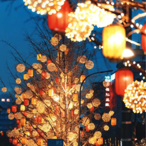 34.“拜年”、“旅游”、“发疯”——过年方式大赏