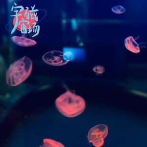 02# 三十年的钢铁直女 突然开始怀疑取向?|爆笑又心酸的婚恋故事分享