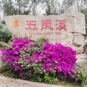 88【放“杨”系列】加更：512五凤溪古镇之行