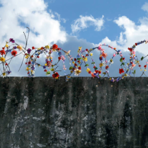 在危机的罅隙间生长｜再见2022