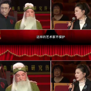 Vol.3 何赛飞的一把火，戏曲“热”“闹”了吗？