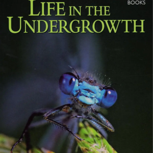 与建筑大王回望2023（一）丨看了什么？