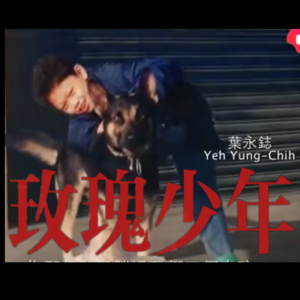 T3-38: 永志不忘纪念，往事不如烟：玫瑰少年们的故事