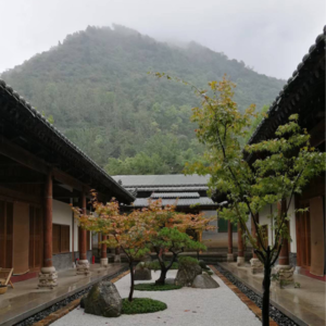 我在终南山下喂大鹅