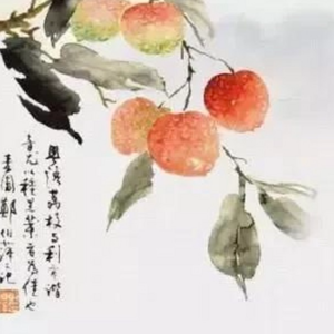 长安的荔枝：职场打工人的故事