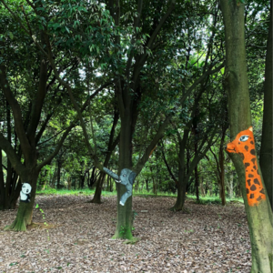 从树的顶端开始,沁入生活