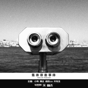 636.集体目击事件