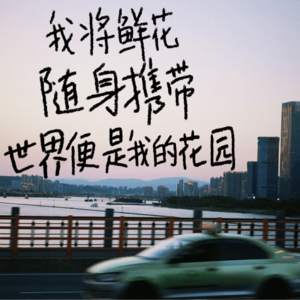 078. 有些一辈子都遇不到的体验,我们替你试过了