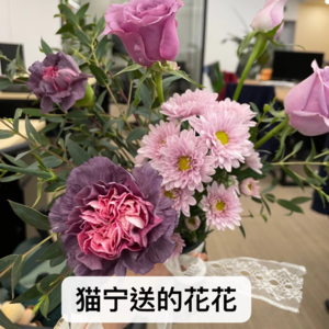 EP41-对话猫宁之财富x能量|线下活动开启财富崛起之路|高势能是觉知与思考|重新销售自己