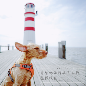 Vol.57 当爸妈让我放弃本科，选择技校