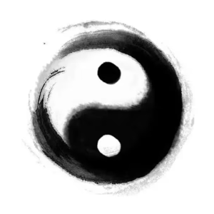 阴阳，其实是个基础模型｜聊聊中医敲门暗号系列之二