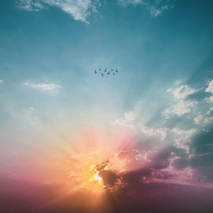 【30分钟疗愈冥想】重塑心灵 唤醒内在疗愈力 提升心理健康与幸福感