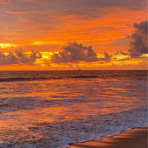 Vol 15. 打工人说：通过旅行感受存在与活着