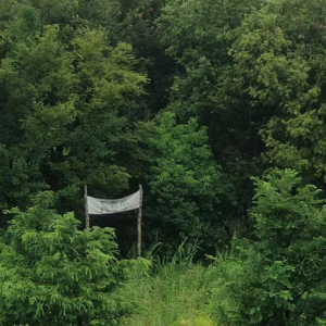 第三十八期《瓦尔登書局》