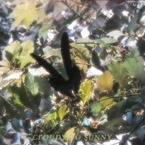 Vol.027 情人节特辑｜谁说只有恋爱的人，才有约会的权利？