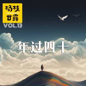 VOL.13 以前以为生活是胸口碎大石，40岁后发现人生是大石碎胸口