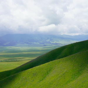 002 新疆夏日漫游