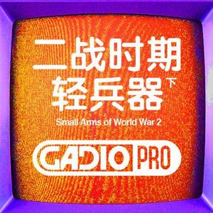 二战轻兵器串讲