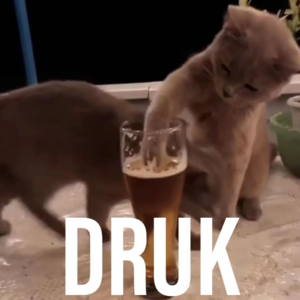 聊会儿01#  酒精计划 喝完一杯，还有三杯