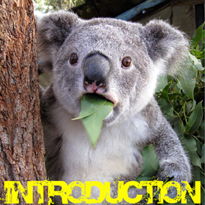 这是一期自我介绍 | 画饼匠人Vol.00