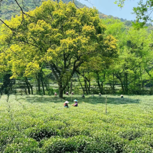 21.看不见的“退休”女性困局