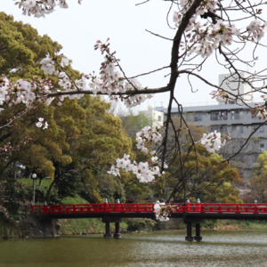 【旅行04】独自一人游日本：行前Checklist