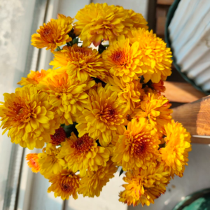 书影留声机13 看不见的界限，限制着无限的爱