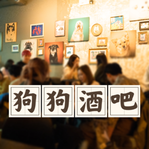 Vol.17 开一家能带狗的精酿酒吧,大庇天下狗狗俱欢颜(加更)