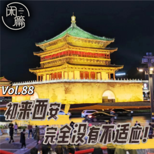 Vol.88 闲溜达│初来西安，完全没有不适应！