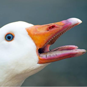 #12日常喷空「心理咨询师凝望的深渊究竟多深」