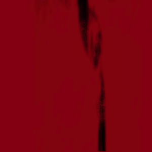 【#016】玄学特辑：塔罗星座加八字，什么水平你吃这么杂？