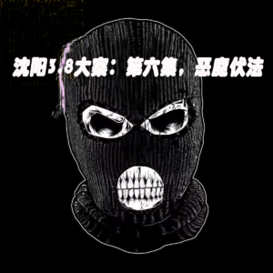 沈阳3.8大案：第六集，恶魔伏法