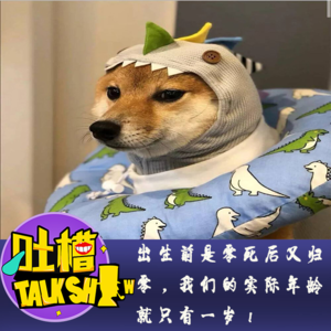 出生前是零死后又归零，我们的实际年龄就只有一岁！[吐槽脱口秀]
