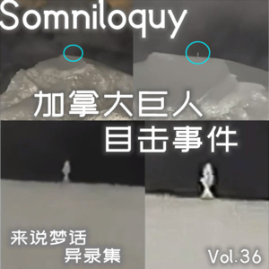 Vol.36 加拿大巨人目击事件丨惠斯勒山巨人