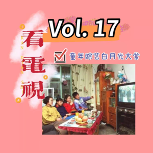 17-一起看电视吧(下)| 童年白月光综艺节目大赏