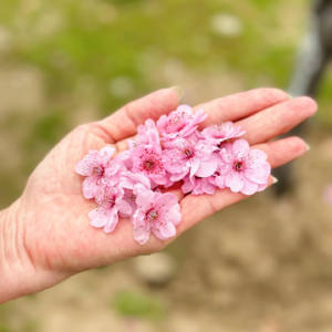 014. | 没想到，和老妈打卡式旅行，居然挺快乐？