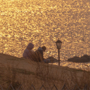 【19】2020年终总结