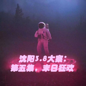 沈阳3.8大案：第五集，末日狂欢