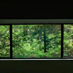 EP12. 荀子在我心