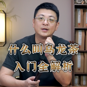 乌龙茶入门全解析，老马带你搞懂乌龙茶｜什么叫乌龙茶？