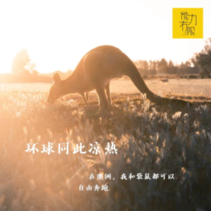vol.208 环球同此凉热 | 在澳洲，我和袋鼠都可以自由奔跑（3）