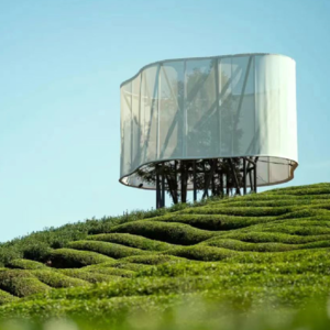 Vol.13  暑假艺术清单（上）：鼓浪屿看海、福州漆艺探访、惊喜景德镇、艺术在浮梁  