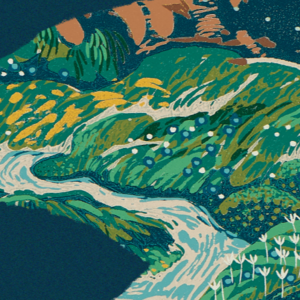 灵感电台 | 跟随Cicada，穿越心灵的雾雨森林