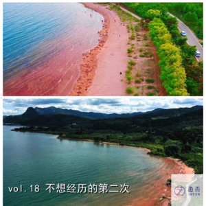 vol.18 不想经历的第二次