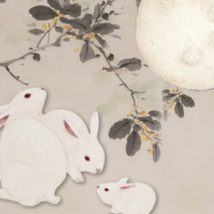 E05 中秋奇想，兔子是月宫的几号房客？