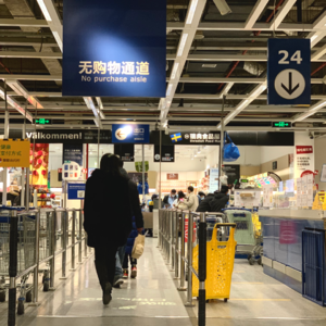 016. 仓鼠们也有春天